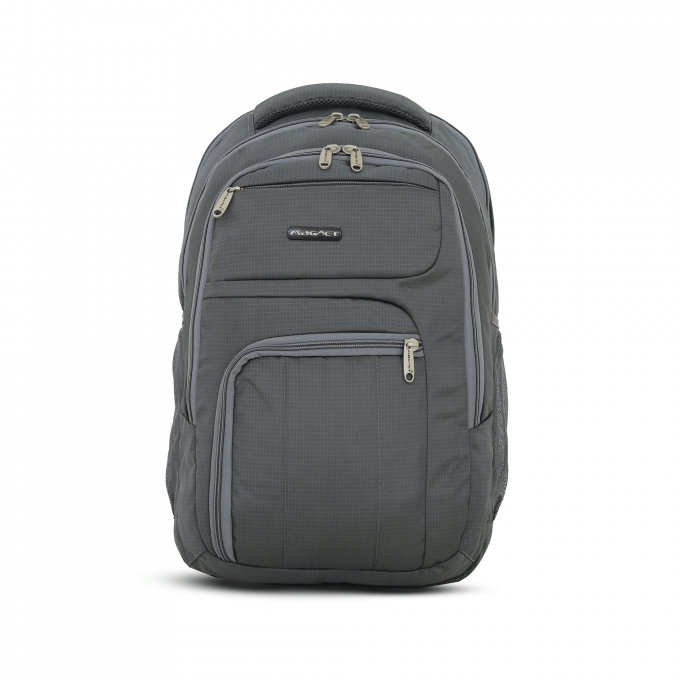 Accent Large Sized Backpack
